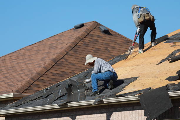 Best Roof Maintenance and Cleaning  in Vernal, UT
